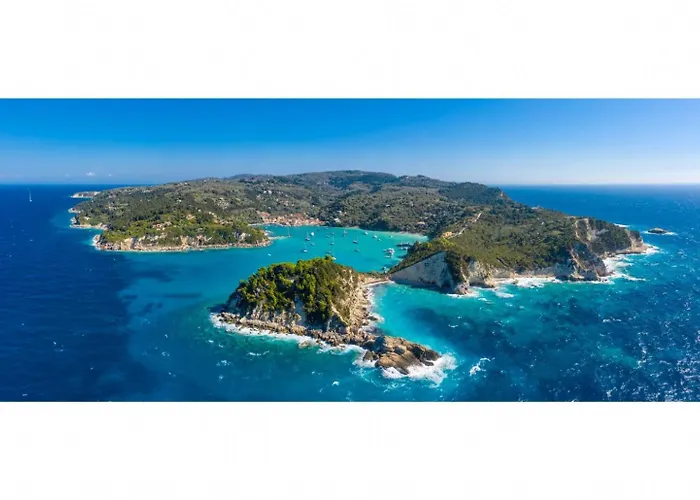 Thanasis * Dalietátika